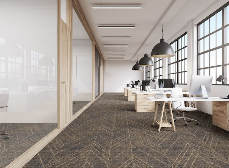 Beaulieu Carus Expedition Eden 927