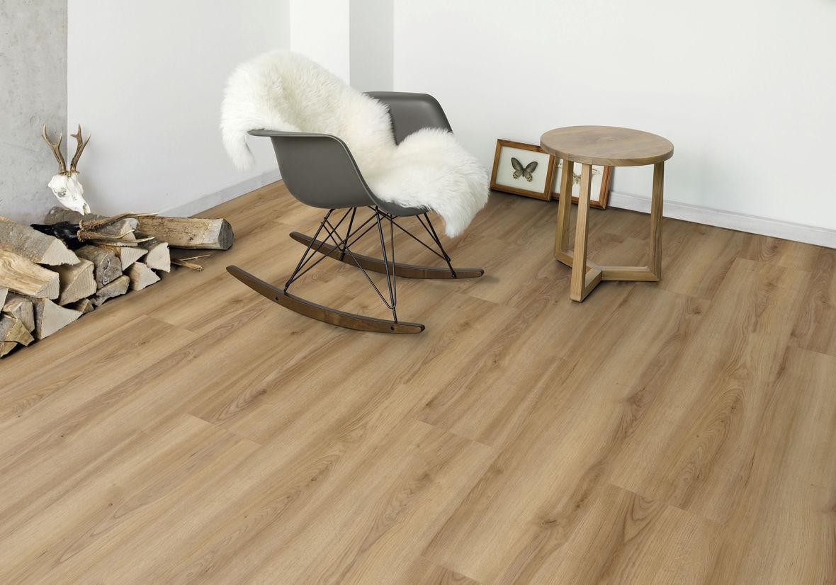 Weninger Lotus dąb latina