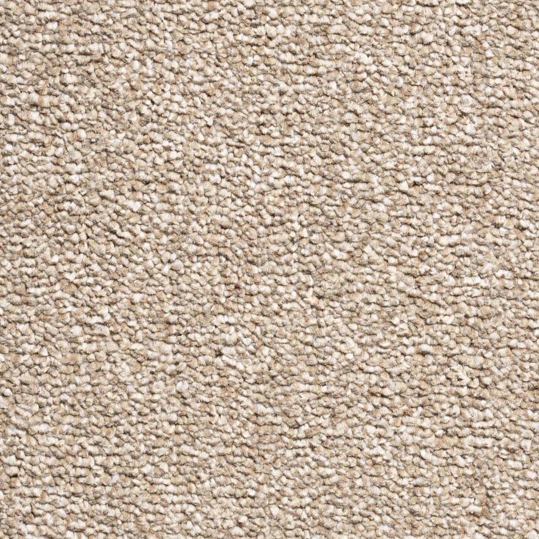 Condor Sakura Elite 176