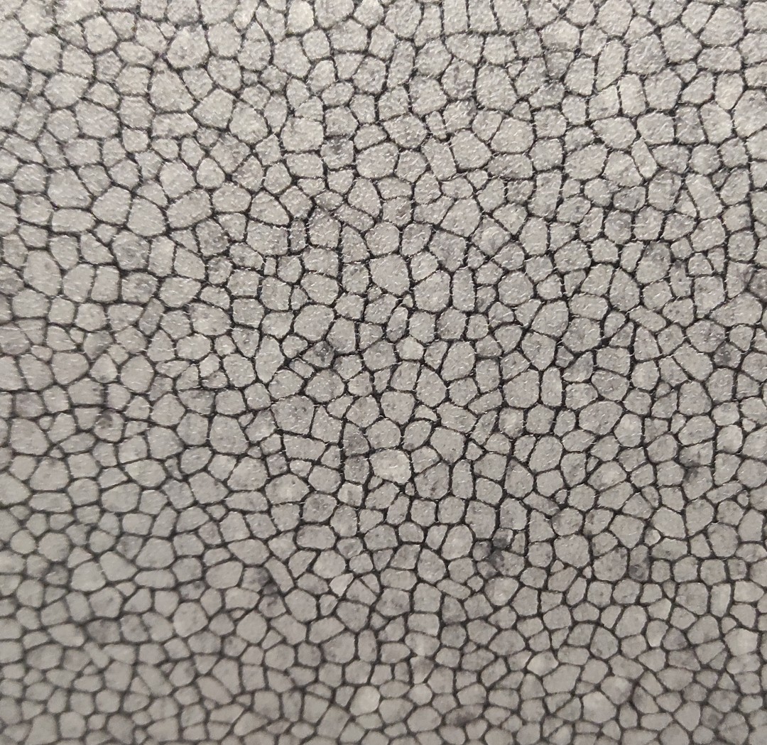 Lentex Voyager 608-03