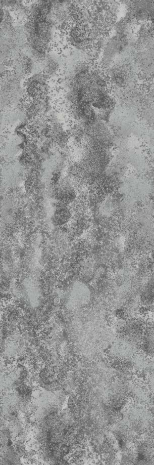 Beaulieu Carus Wilderness WIL01 INT17 WD159