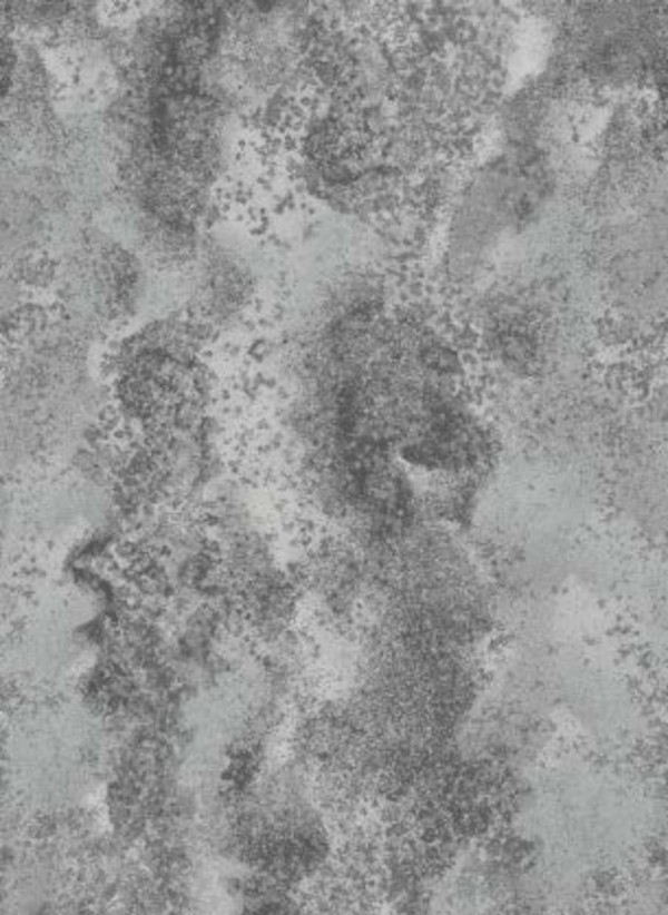 Beaulieu Carus Wilderness WIL01 INT17 WD159