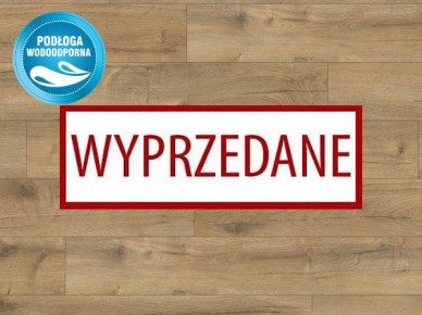 Weninger Smart Dąb Kanada 