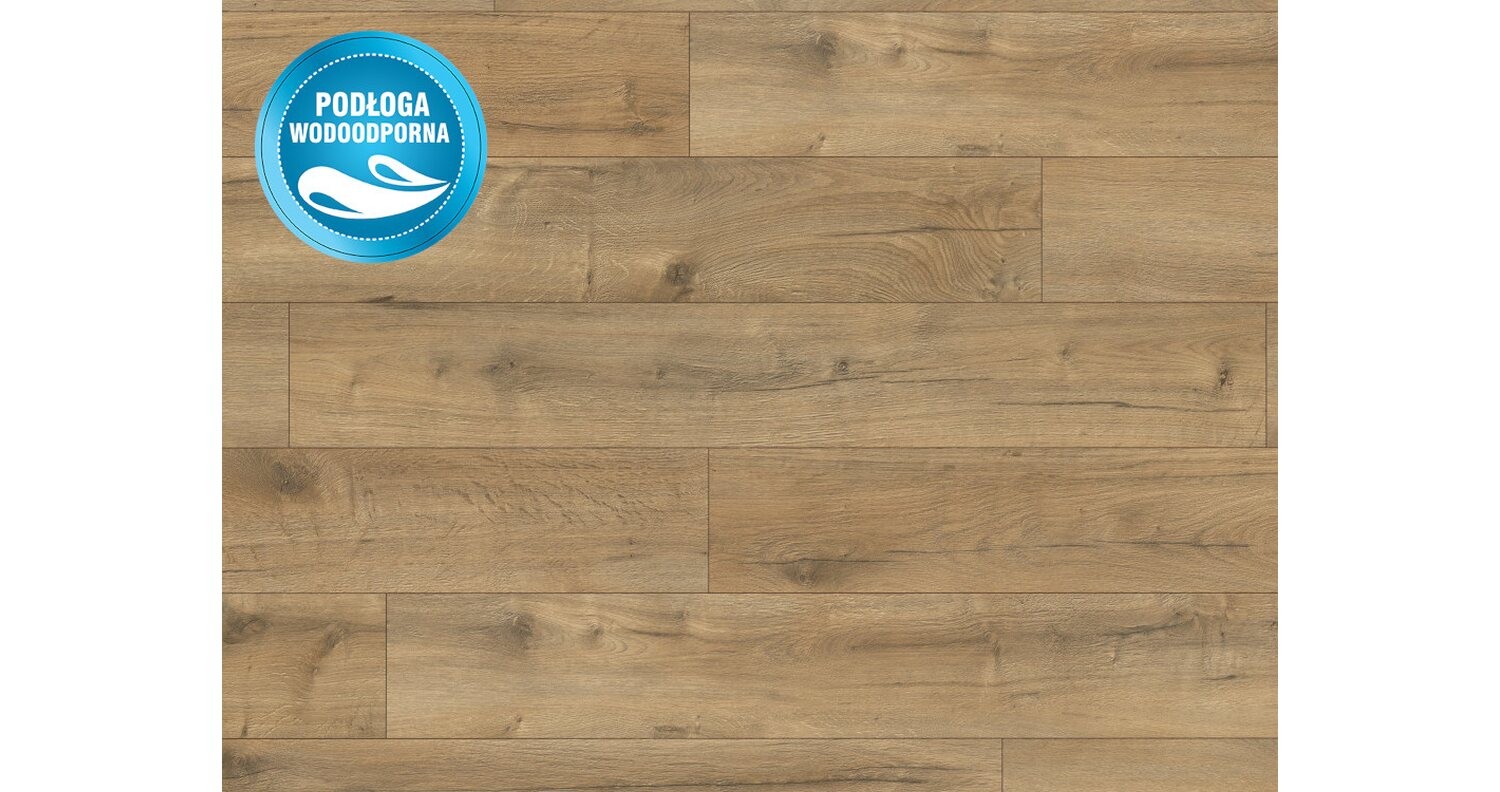 Weninger Smart Dąb Kanada 