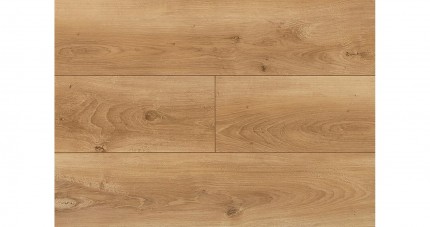 Swiss Krono Dąb Bergen