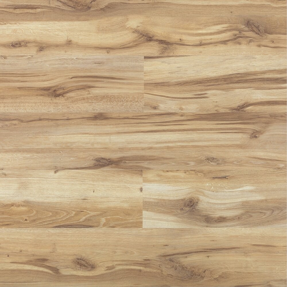 Swiss Krono Dąb Savona