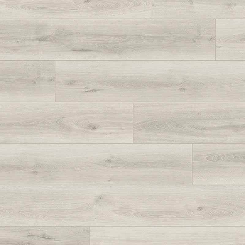 Swiss Krono Dąb Arktyczny (szeroki)