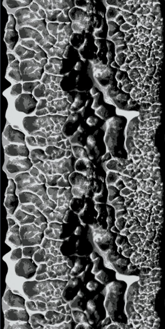 Balsan Wind&View SB001