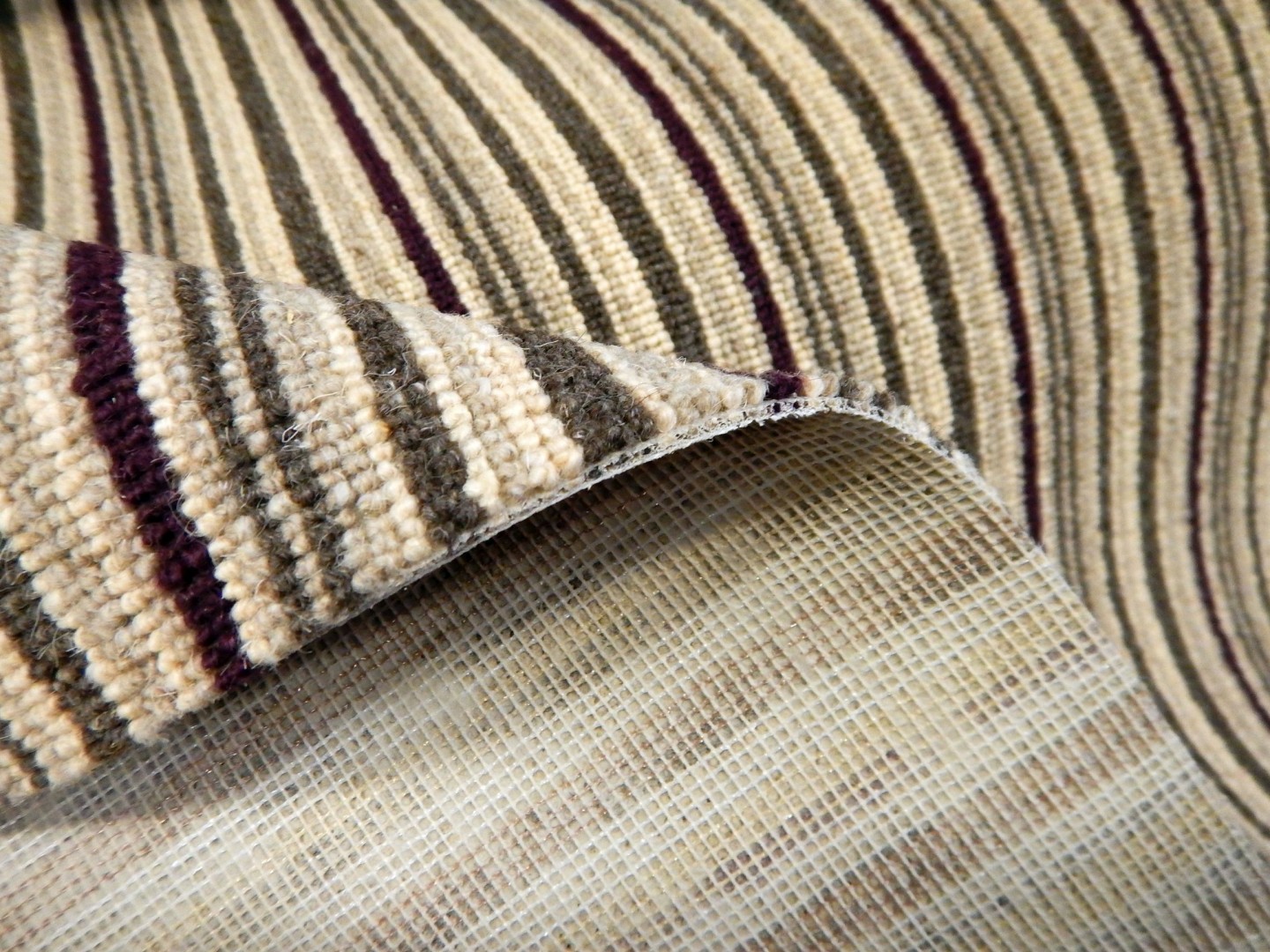 Condor Gloucester 72 wełna - wyprzedaż