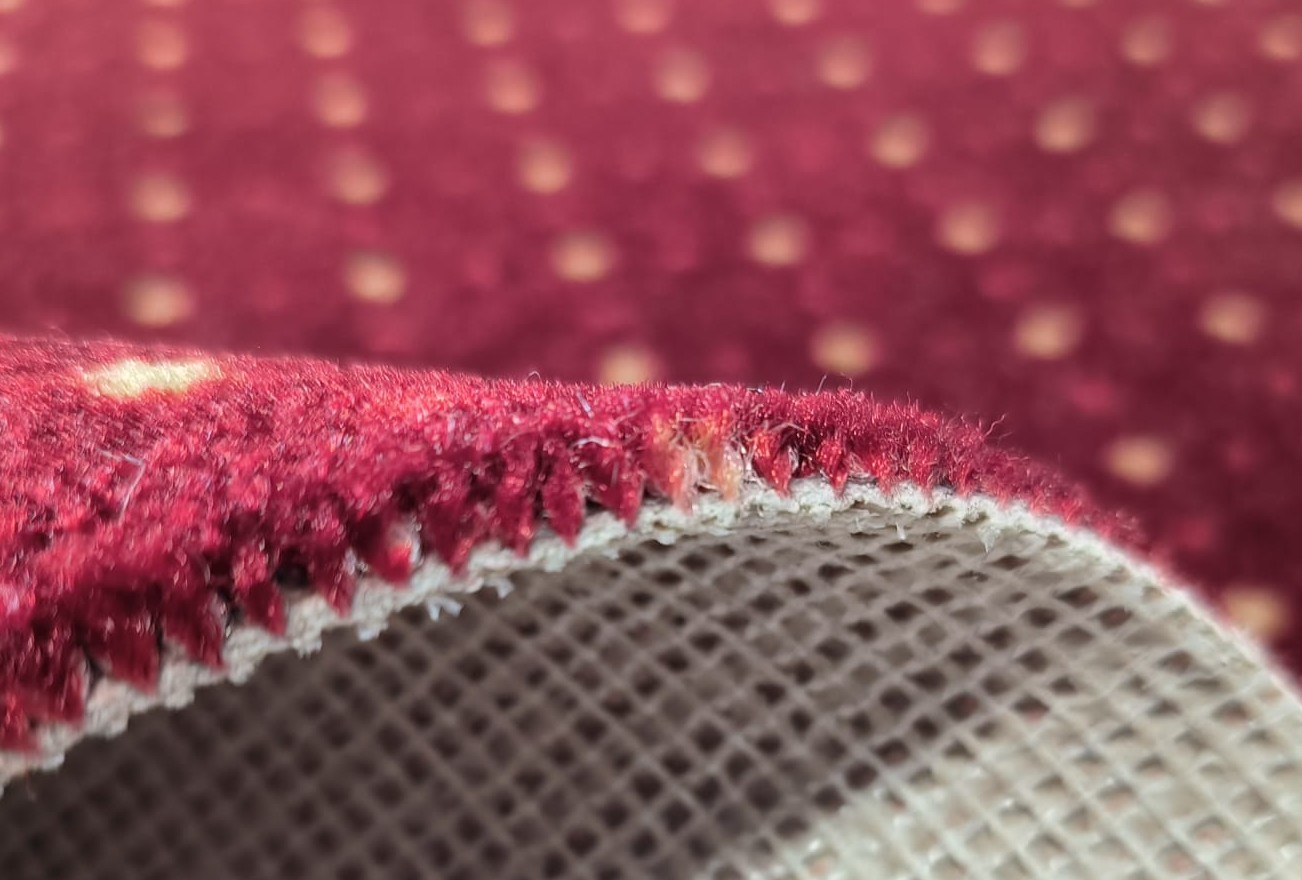 Beaulieu Carus Garda 411