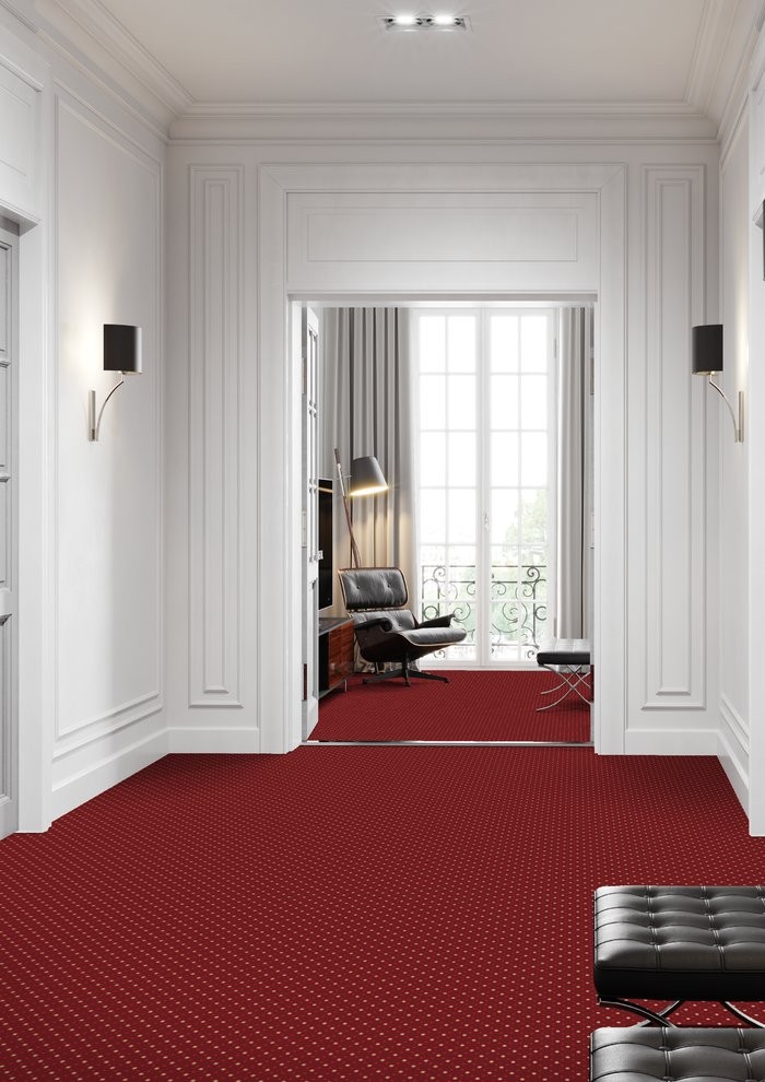 Beaulieu Carus Garda 411