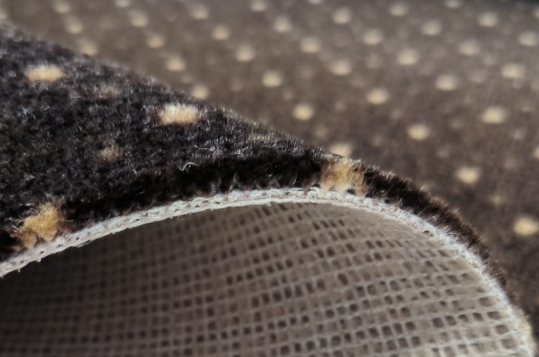 Beaulieu Carus Garda 927