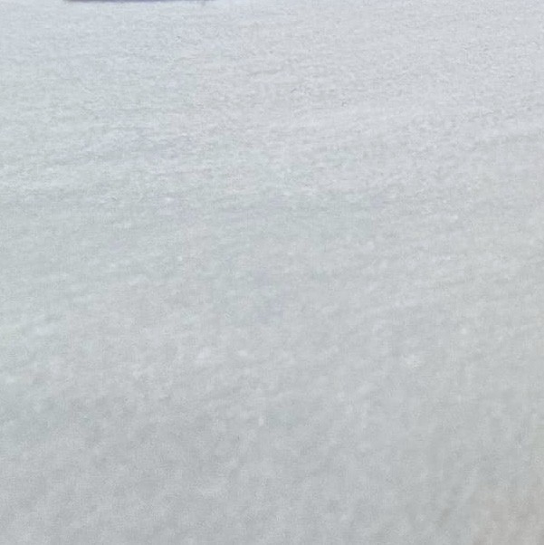 Beaulieu Carus Noblesse 302