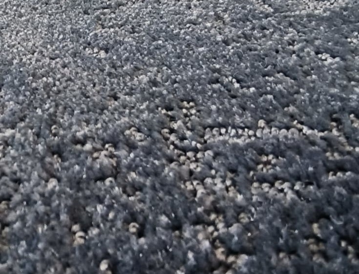 Beaulieu Carus Impressions 19CLC024 158