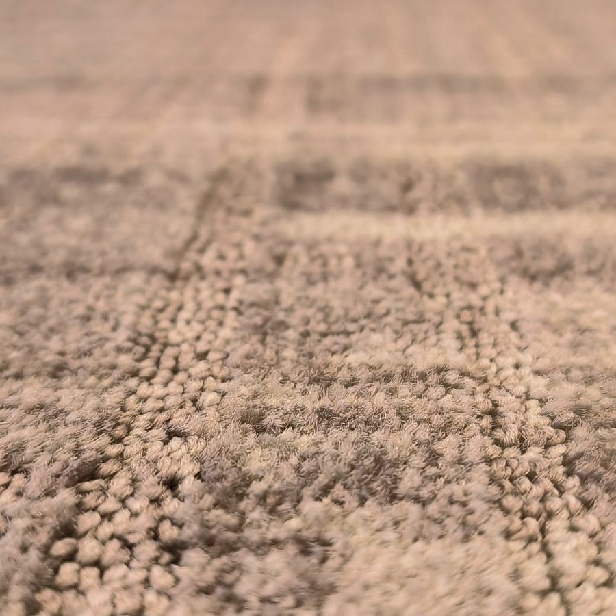 Beaulieu Carus Impressions Shades 907