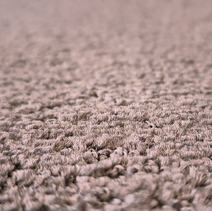 Beaulieu Carus Impressions Magnitude 156