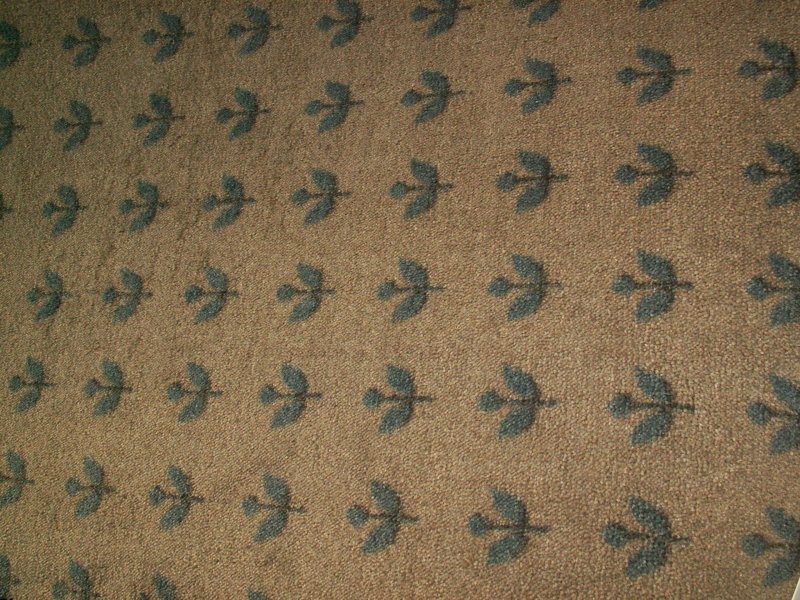 Balta ITC Canicada 043