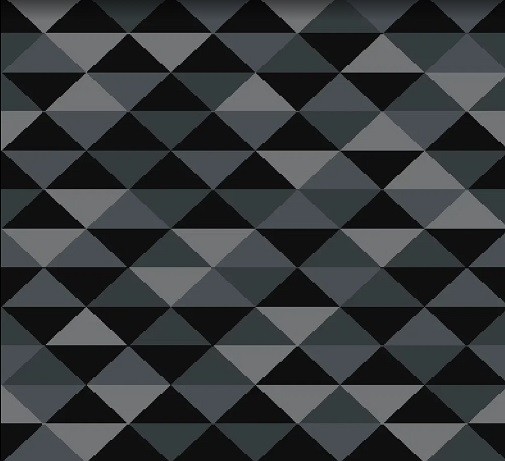 Beaulieu Carus Fusion Focus 199