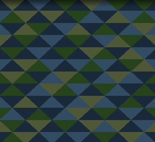 Beaulieu Carus Fusion Focus 838