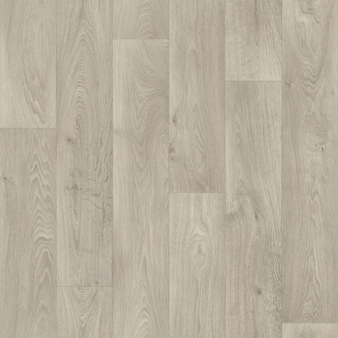 IVC Mobil+ Toronto 506