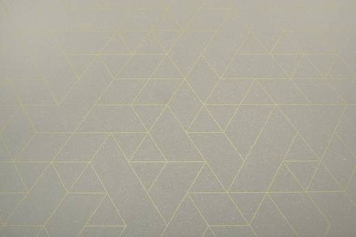 IVC Planet Jester 593