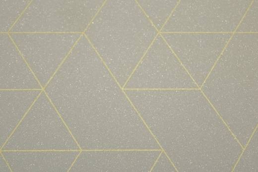 IVC Planet Jester 593