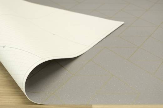 IVC Planet Jester 593