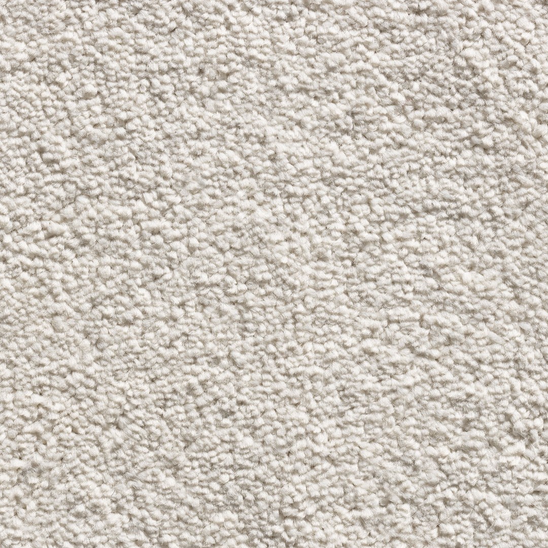 Condor Westminster 69