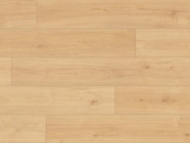 Classen Hydroclick Komfort Eiche 63682 AC5/9mm