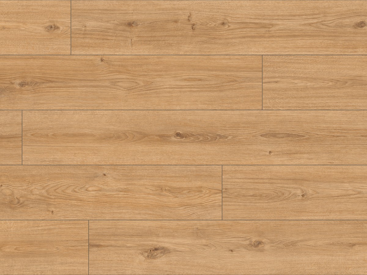 Classen Hydroclick Honig eiche 63680 AC5/9mm