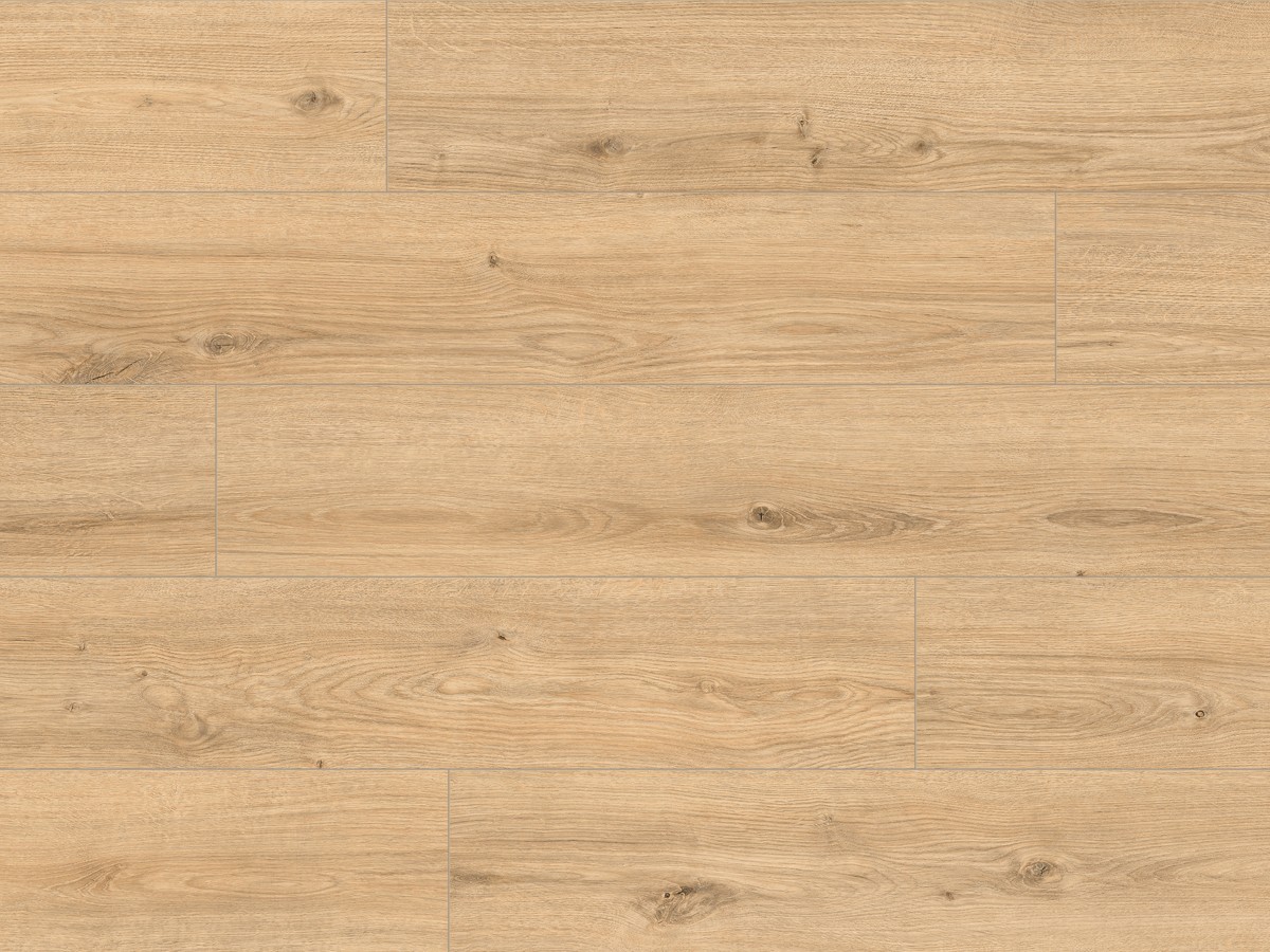 Classen Hydroclick Königs eiche 63684 AC5/9mm