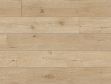 Classen Forza Cassino Oak AC5/10mm