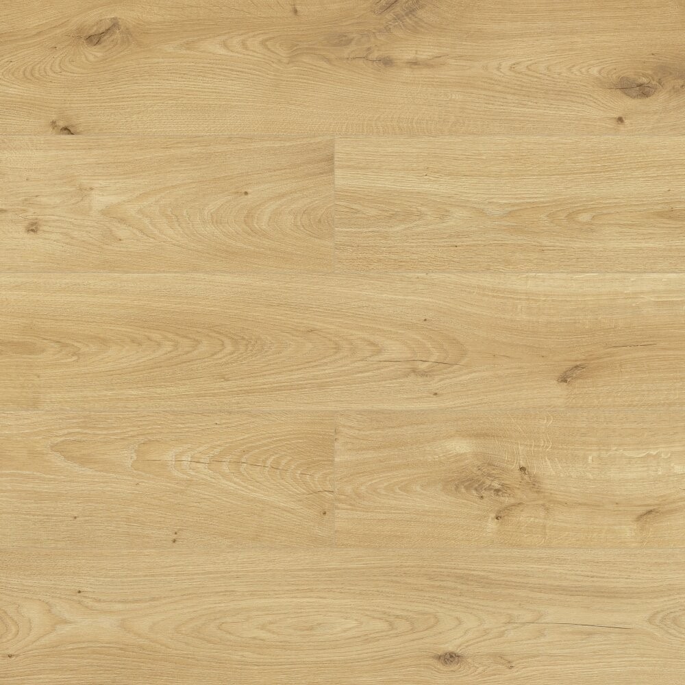 Swiss Krono Dąb Burgos 4557 AC4/8mm 4557