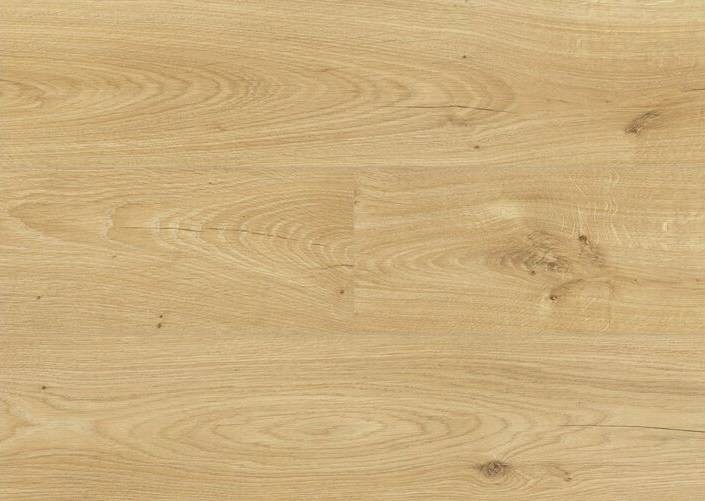 Swiss Krono Dąb Burgos 4557 AC4/8mm 4557