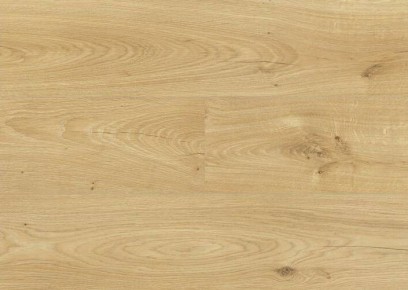 Swiss Krono Dąb Burgos 4557 AC4/8mm 4557