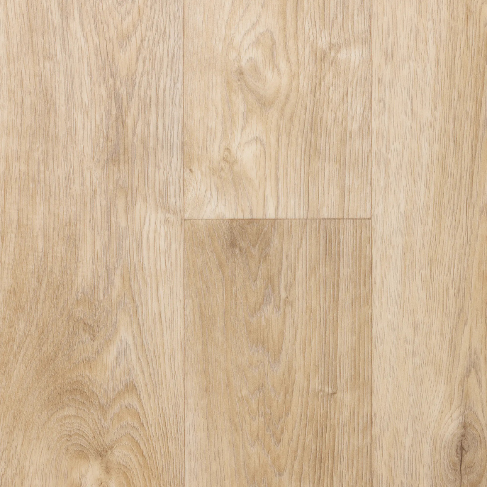 IVC Batimax Plus Tavel T33