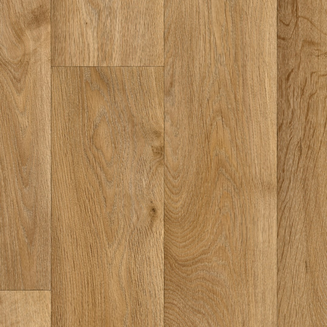 IVC ITEC 419  Toronto T81