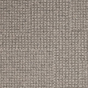 Tarkett Desso Urquiola AD03 9116-V B8