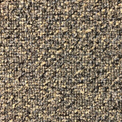 Paragon Evolve 1132 Shoreline