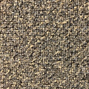 Paragon Evolve 1132 Shoreline