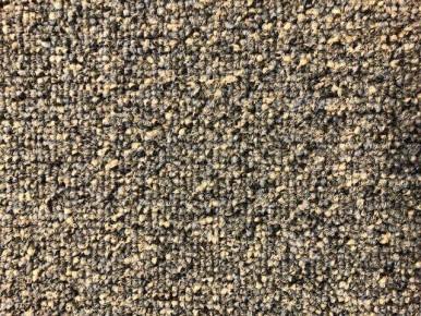 Paragon Evolve 1132 Shoreline