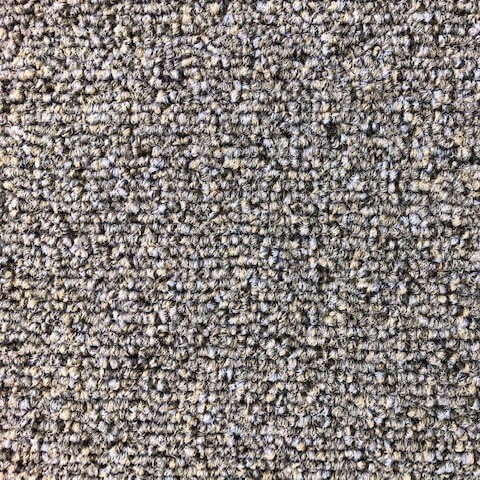 Paragon Evolve 8831 Basalt