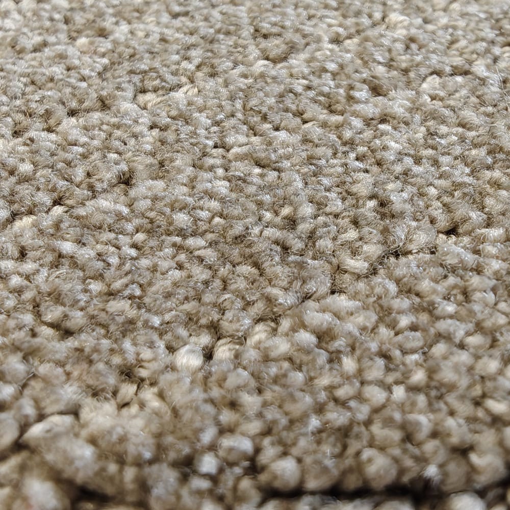 Condor Thebe Sutton 41