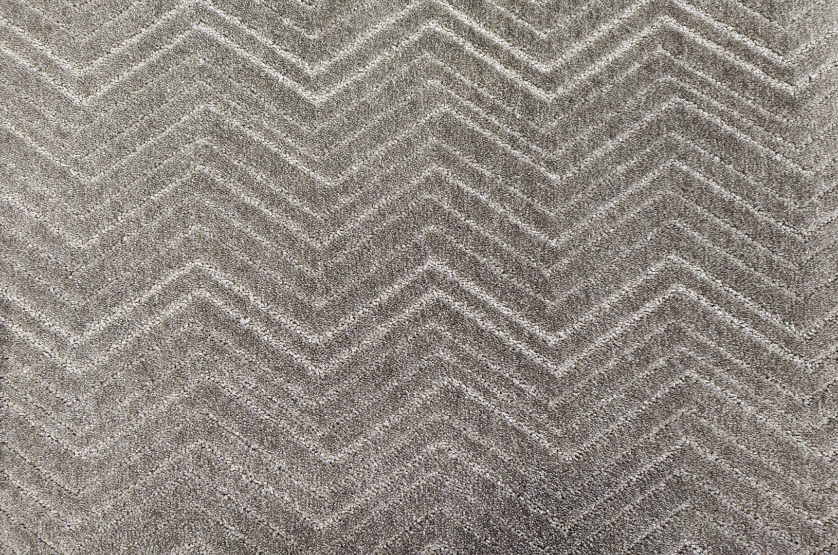 Condor Thebe Sutton 41