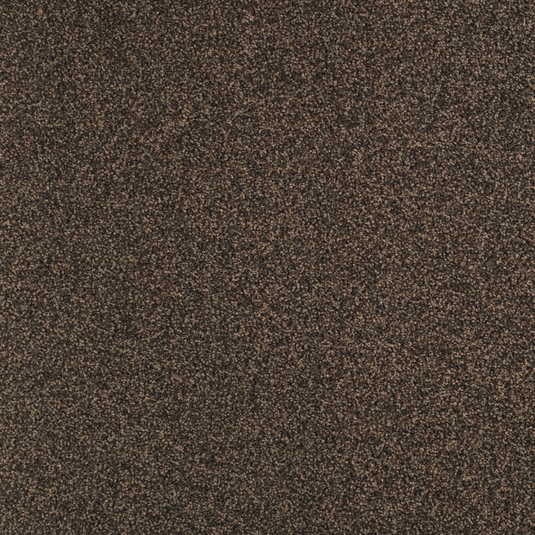 Balsan Script DD 790 Muscade
