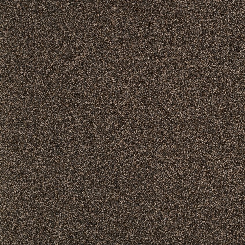 Balsan Script DD 790 Muscade