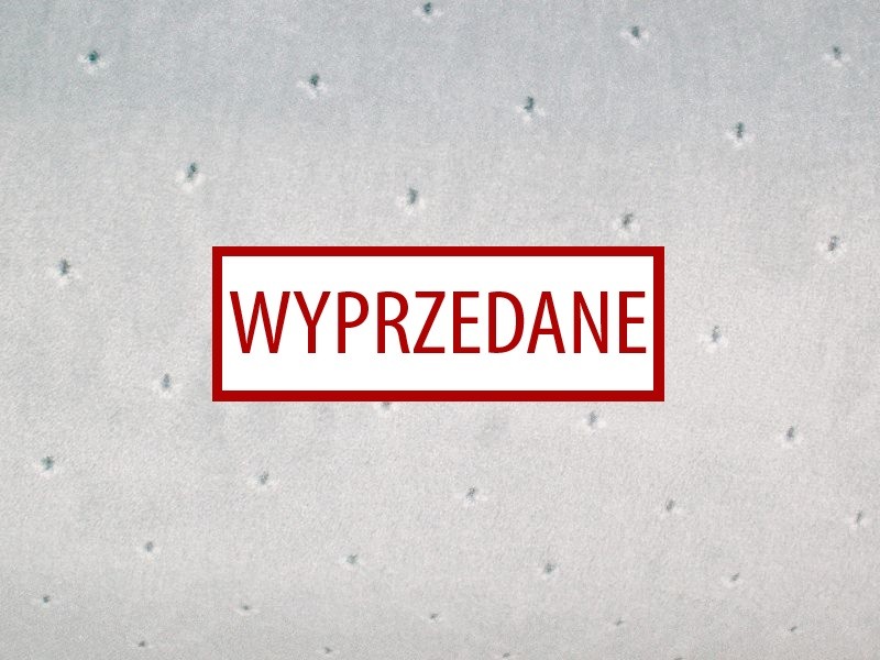 Balta ITC Palace 095