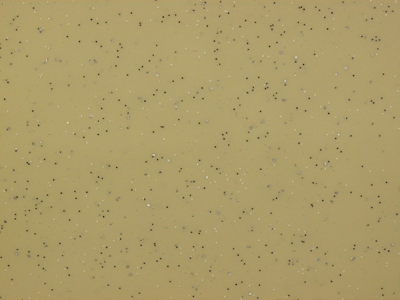 Forbo Eternal Palette 4057