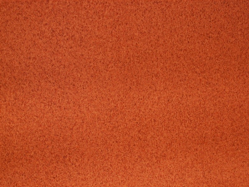 Forbo Eternal Form 11122