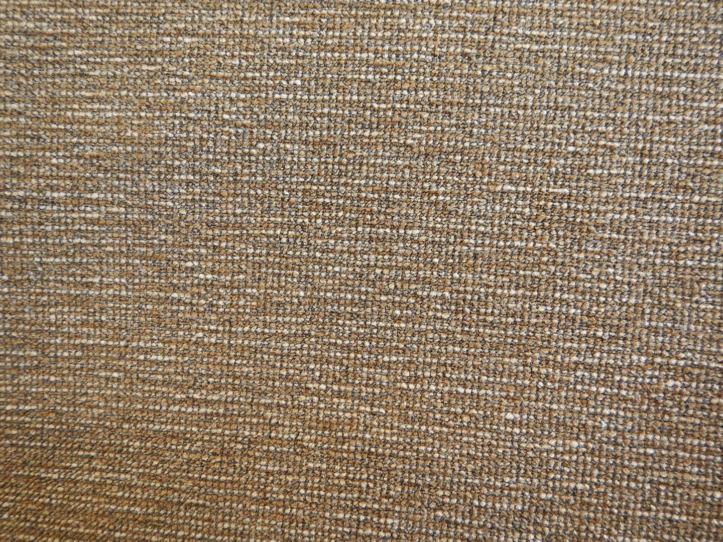 Madeira 40 - wyprzedaż